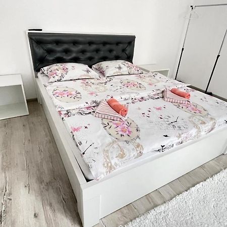 קאמפולונג מולדובנסק Apartament Linistit / Cozy Apartment מראה חיצוני תמונה