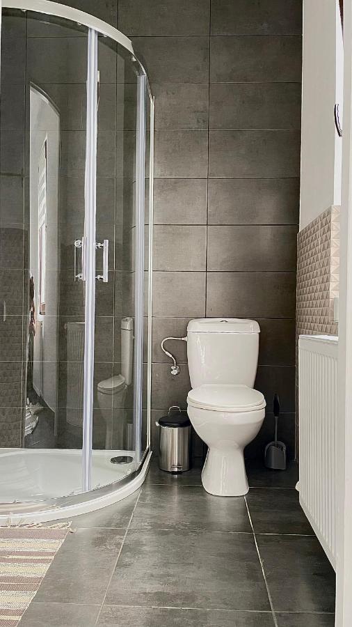 קאמפולונג מולדובנסק Apartament Linistit / Cozy Apartment מראה חיצוני תמונה